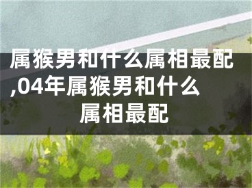 属猴男和什么属相最配,04年属猴男和什么属相最配