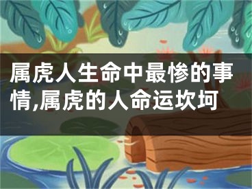 属虎人生命中最惨的事情,属虎的人命运坎坷