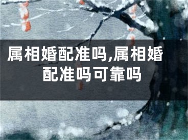 属相婚配准吗,属相婚配准吗可靠吗