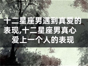 十二星座男遇到真爱的表现,十二星座男真心爱上一个人的表现
