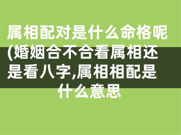 属相配对是什么命格呢(婚姻合不合看属相还是看八字,属相相配是什么意思