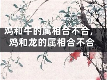 鸡和牛的属相合不合,鸡和龙的属相合不合