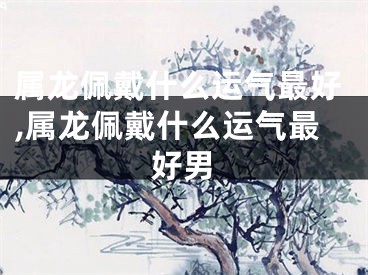 属龙佩戴什么运气最好,属龙佩戴什么运气最好男
