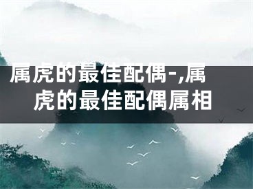 属虎的最佳配偶-,属虎的最佳配偶属相