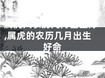 属虎人农历几月出生好,属虎的农历几月出生好命