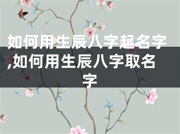 如何用生辰八字起名字,如何用生辰八字取名字