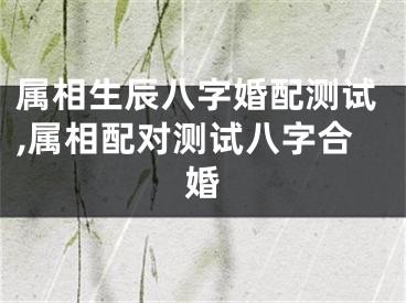 属相生辰八字婚配测试,属相配对测试八字合婚
