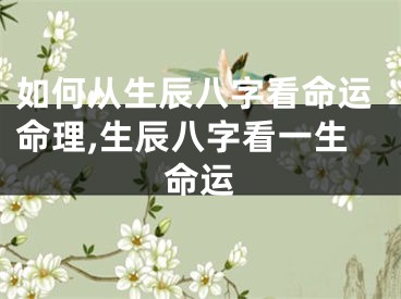 如何从生辰八字看命运命理,生辰八字看一生命运
