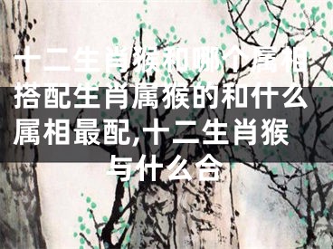 十二生肖猴和哪个属相搭配生肖属猴的和什么属相最配,十二生肖猴与什么合