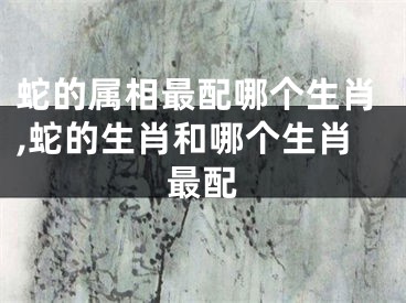 蛇的属相最配哪个生肖,蛇的生肖和哪个生肖最配