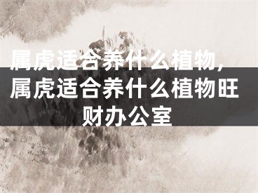 属虎适合养什么植物,属虎适合养什么植物旺财办公室