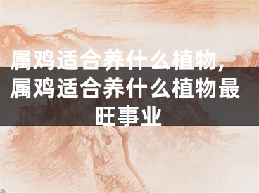 属鸡适合养什么植物,属鸡适合养什么植物最旺事业