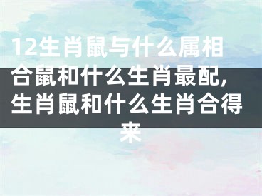 12生肖鼠与什么属相合鼠和什么生肖最配,生肖鼠和什么生肖合得来
