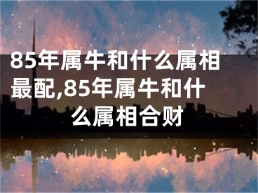 85年属牛和什么属相最配,85年属牛和什么属相合财