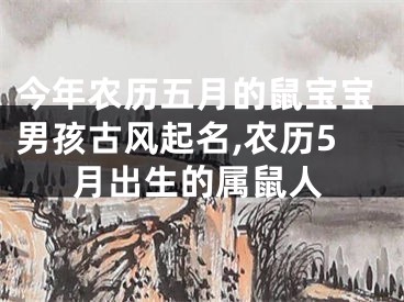 今年农历五月的鼠宝宝男孩古风起名,农历5月出生的属鼠人