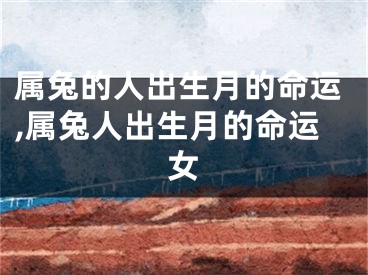 属兔的人出生月的命运,属兔人出生月的命运女