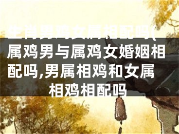生肖男鸡女属相配吗(属鸡男与属鸡女婚姻相配吗,男属相鸡和女属相鸡相配吗