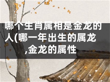 哪个生肖属相是金龙的人(哪一年出生的属龙,金龙的属性