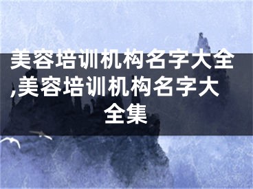 美容培训机构名字大全,美容培训机构名字大全集