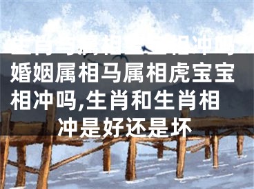 生肖与属相宝宝相冲吗婚姻属相马属相虎宝宝相冲吗,生肖和生肖相冲是好还是坏