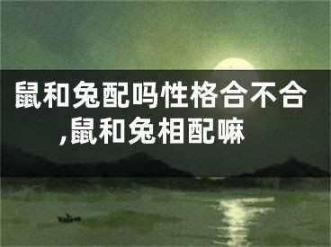 鼠和兔配吗性格合不合,鼠和兔相配嘛