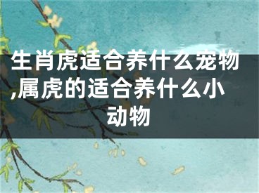 生肖虎适合养什么宠物,属虎的适合养什么小动物