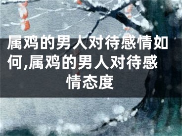 属鸡的男人对待感情如何,属鸡的男人对待感情态度