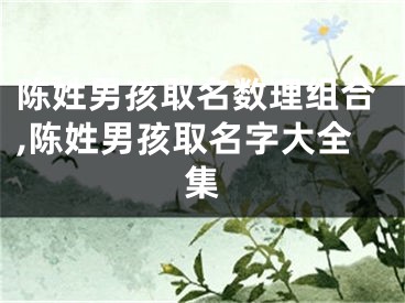 陈姓男孩取名数理组合,陈姓男孩取名字大全集