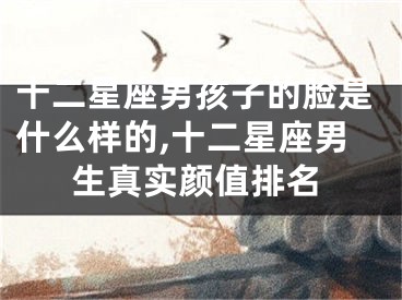 十二星座男孩子的脸是什么样的,十二星座男生真实颜值排名