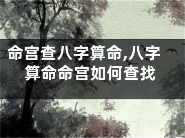 命宫查八字算命,八字算命命宫如何查找