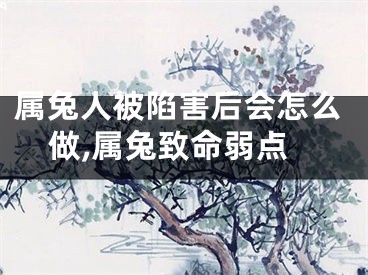 属兔人被陷害后会怎么做,属兔致命弱点