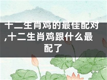 十二生肖鸡的最佳配对,十二生肖鸡跟什么最配了