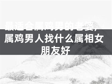 最适合属鸡男的老婆,属鸡男人找什么属相女朋友好
