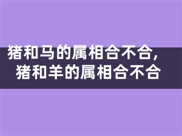 猪和马的属相合不合,猪和羊的属相合不合