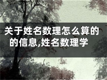 关于姓名数理怎么算的的信息,姓名数理学
