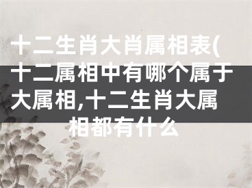 十二生肖大肖属相表(十二属相中有哪个属于大属相,十二生肖大属相都有什么
