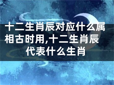 十二生肖辰对应什么属相古时用,十二生肖辰代表什么生肖