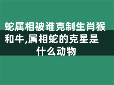 蛇属相被谁克制生肖猴和牛,属相蛇的克星是什么动物
