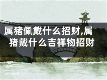 属猪佩戴什么招财,属猪戴什么吉祥物招财