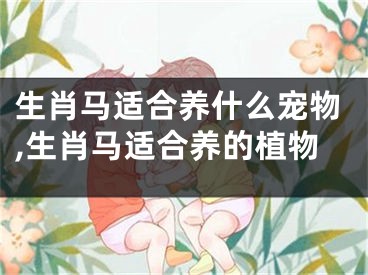 生肖马适合养什么宠物,生肖马适合养的植物