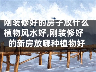 刚装修好的房子放什么植物风水好,刚装修好的新房放哪种植物好