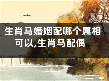 生肖马婚姻配哪个属相可以,生肖马配偶