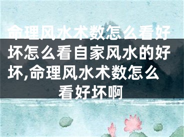 命理风水术数怎么看好坏怎么看自家风水的好坏,命理风水术数怎么看好坏啊