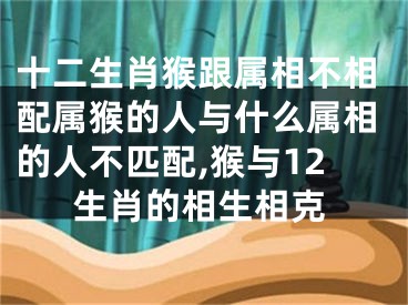 十二生肖猴跟属相不相配属猴的人与什么属相的人不匹配,猴与12生肖的相生相克