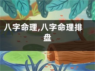 八字命理,八字命理排盘