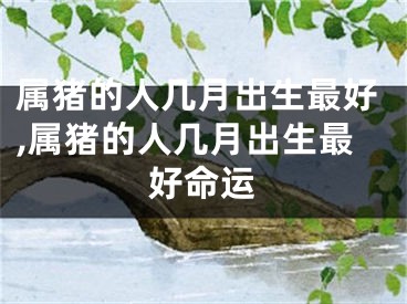 属猪的人几月出生最好,属猪的人几月出生最好命运