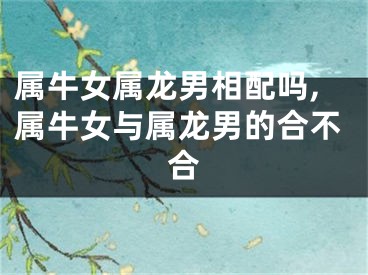 属牛女属龙男相配吗,属牛女与属龙男的合不合