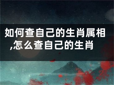 如何查自己的生肖属相,怎么查自己的生肖
