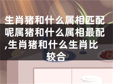 生肖猪和什么属相匹配呢属猪和什么属相最配,生肖猪和什么生肖比较合