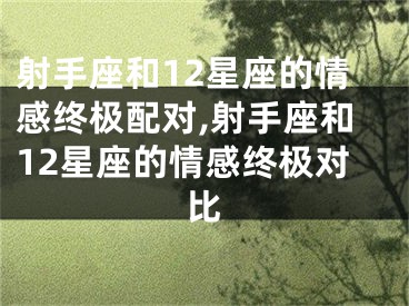 射手座和12星座的情感终极配对,射手座和12星座的情感终极对比